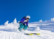 九游娱乐-绿茵场上的双重奏，弗拉霍维奇爆发映照几内亚强势晋级，足球世界的多元交响