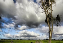 九游体育官方入口-世纪攻防战！西班牙群星亮剑，尤文铁壁迎击，点球时刻窒息上演！