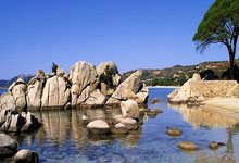 九游娱乐官方网站-惊天逆转！内马尔欧冠绝杀杜兰特观战席，大巴黎出线生死局上演神剧情