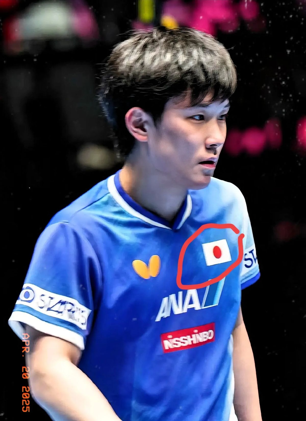 关于波兰乒乓球队力克中国乒乓球队,张本智和制霸全场的信息 关于波兰乒乓球队力克中国乒乓球队,张本智和制霸全场的信息