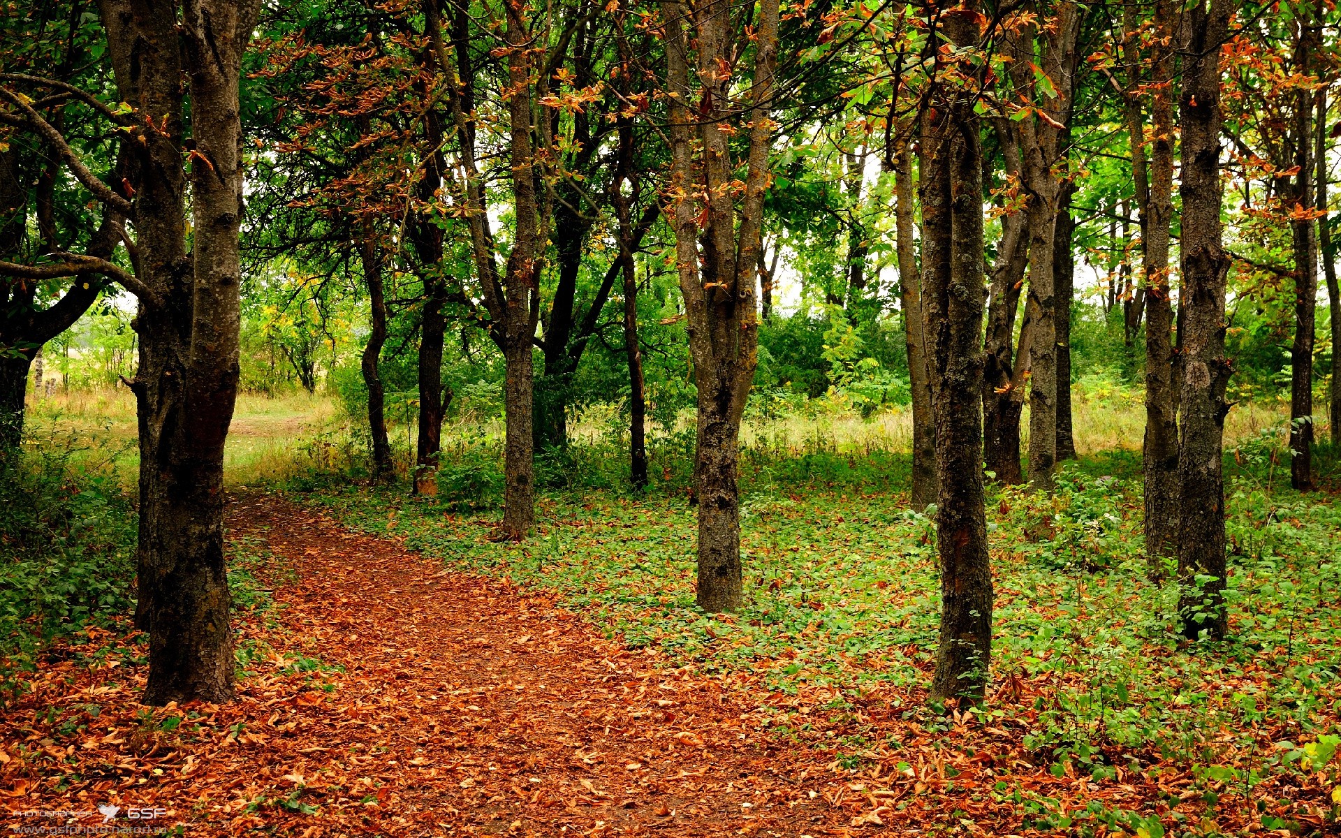 北京队防守锁死马刺,库里成为关键先生