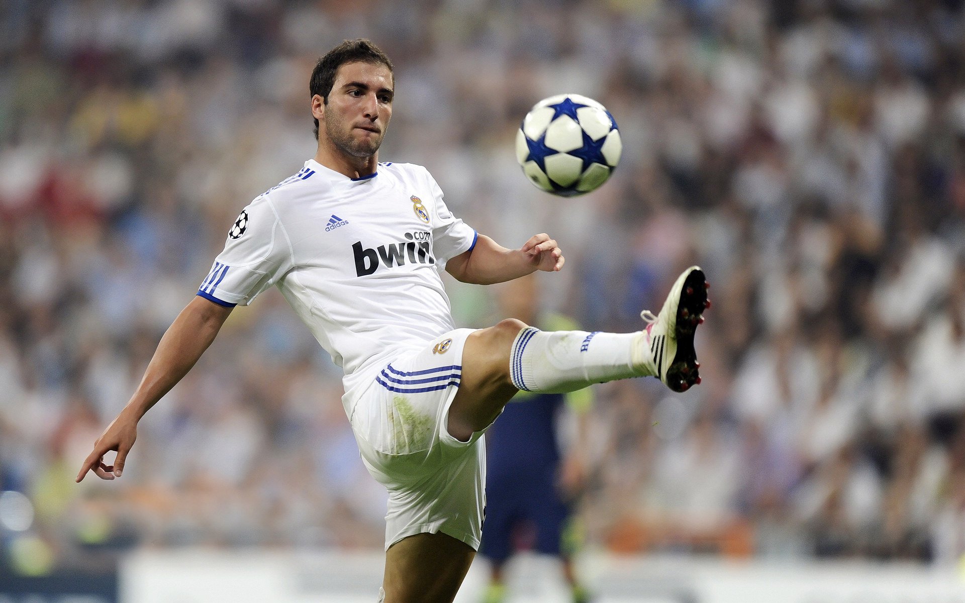 赛道上的交响指挥家,法比尼奥如何成为F1年度争冠之夜的攻防转换核心