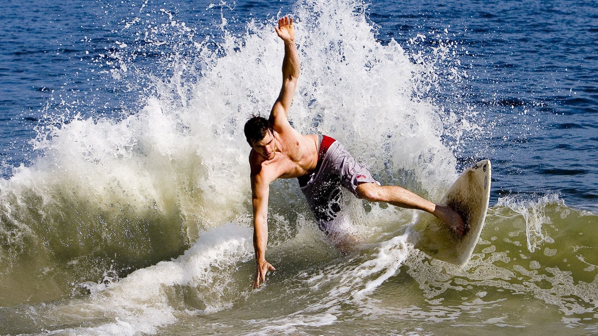 蛰伏与狂啸，当黄蜂的毒刺贯穿森林狼的咽喉