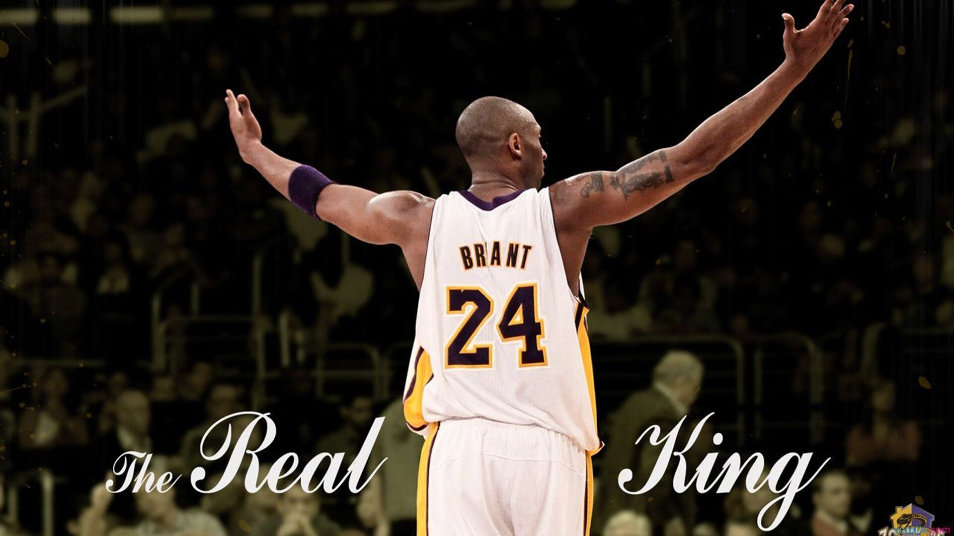 年终总决赛横扫戴维斯杯，纳达尔惊艳四座，一场定义传奇的跨界征服